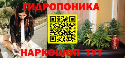 прущие грибы Ликино-Дулёво